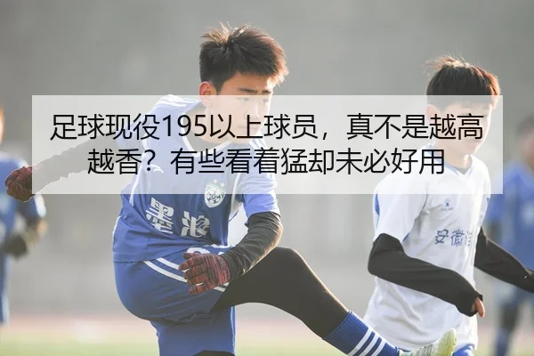 足球现役195以上球员，真不是越高越香？有些看着猛却未必好用