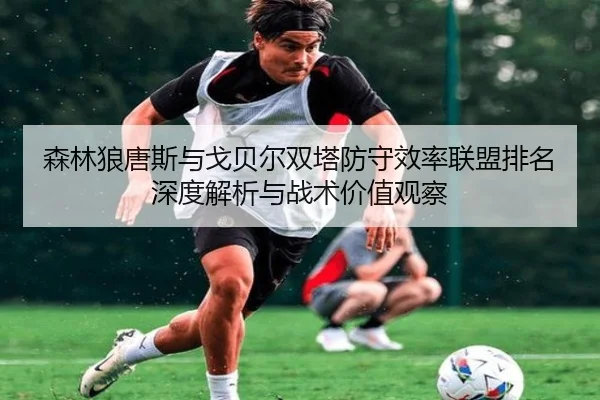 森林狼唐斯与戈贝尔双塔防守效率联盟排名深度解析与战术价值观察